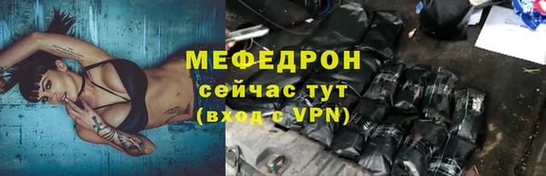 spice Богородицк