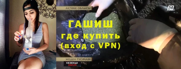 spice Богородицк