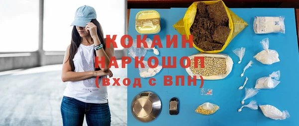 spice Богородицк