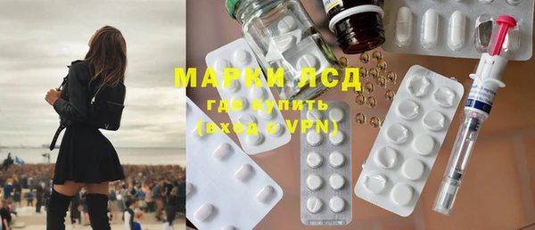 spice Богородицк