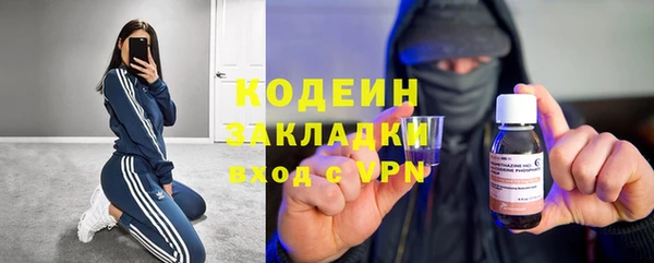 spice Богородицк