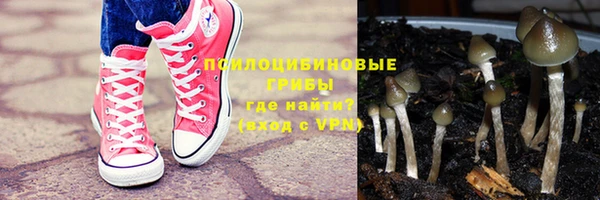 МДМА Богданович