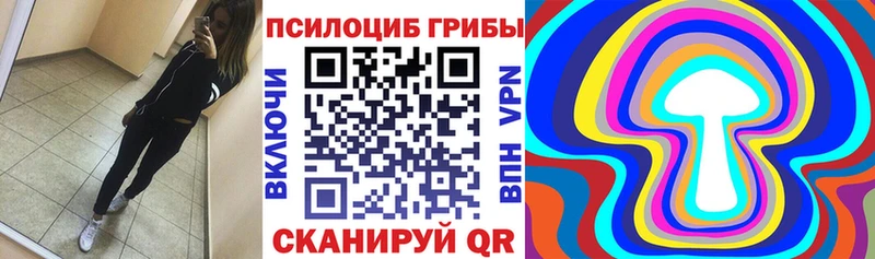 Купить где  Реутов  Галлюциногенные грибы Cubensis 