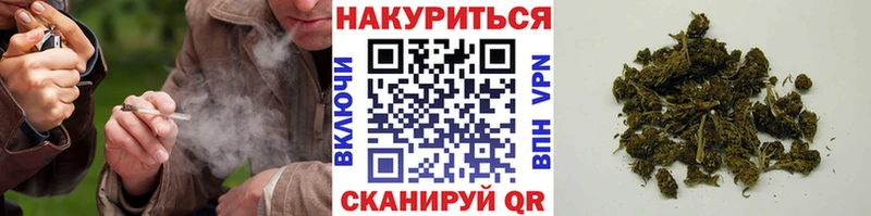 Бошки Шишки OG Kush  Купить где  Реутов 